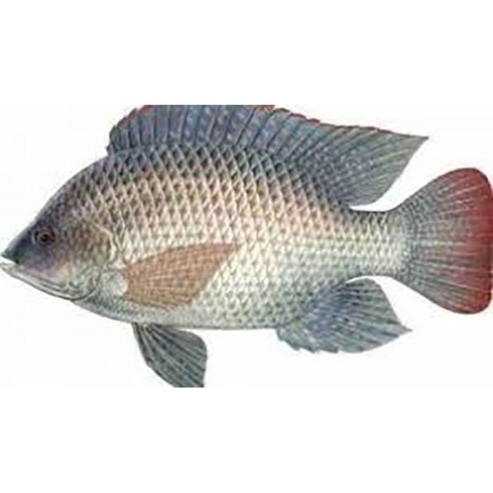 150